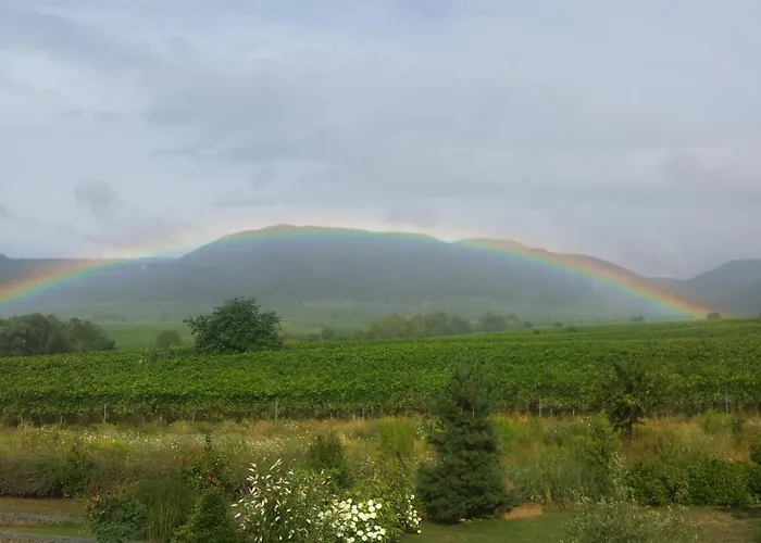 Luitpold 21 Appartement *