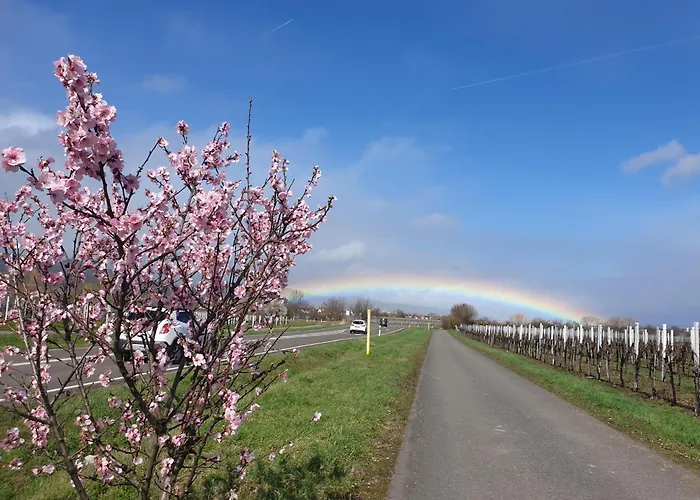 Appartement Luitpold 21 *